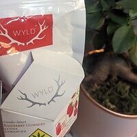 wyld gummies